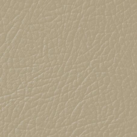 desert beige
205